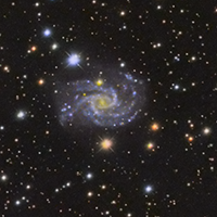 Spiral Galaxy NGC2835 thumbnail