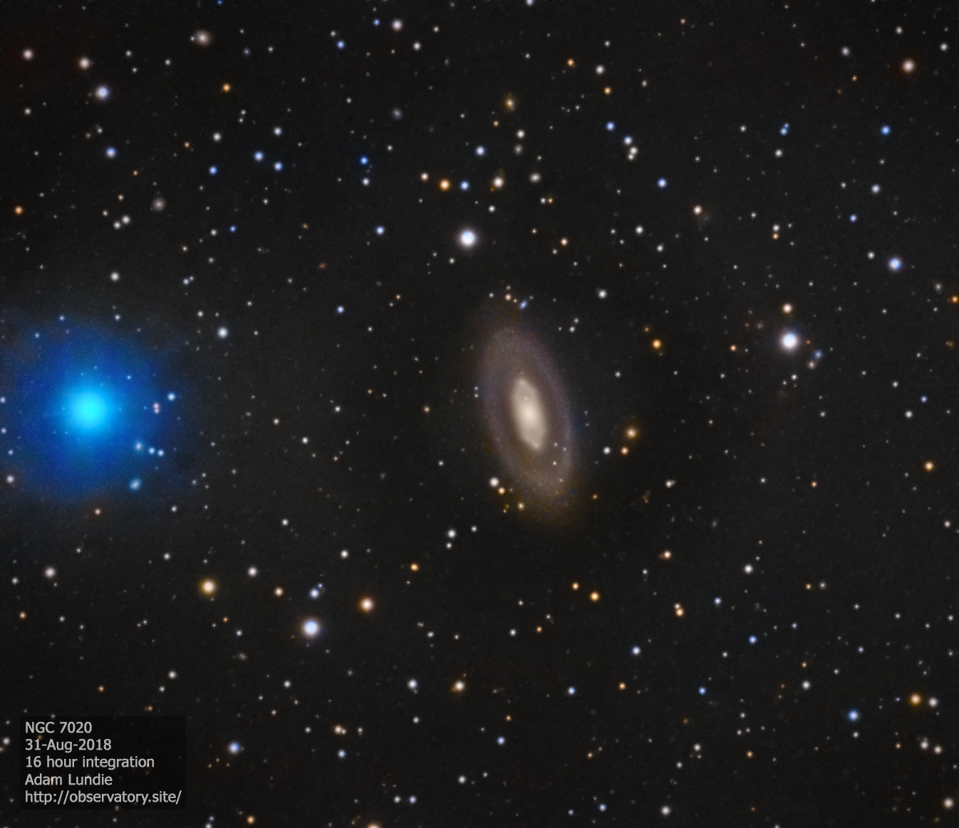 Ringed Galaxy NGC 7020